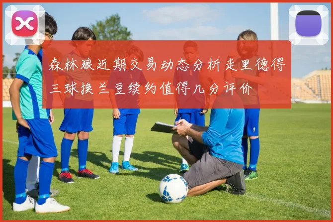 森林狼近期交易动态分析走里德得三球换兰豆续约值得几分评价
